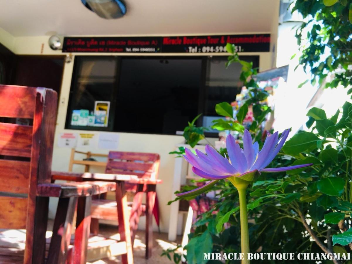 מלון צ'יאנג מאי Miracle Boutique Chiangmai מראה חיצוני תמונה